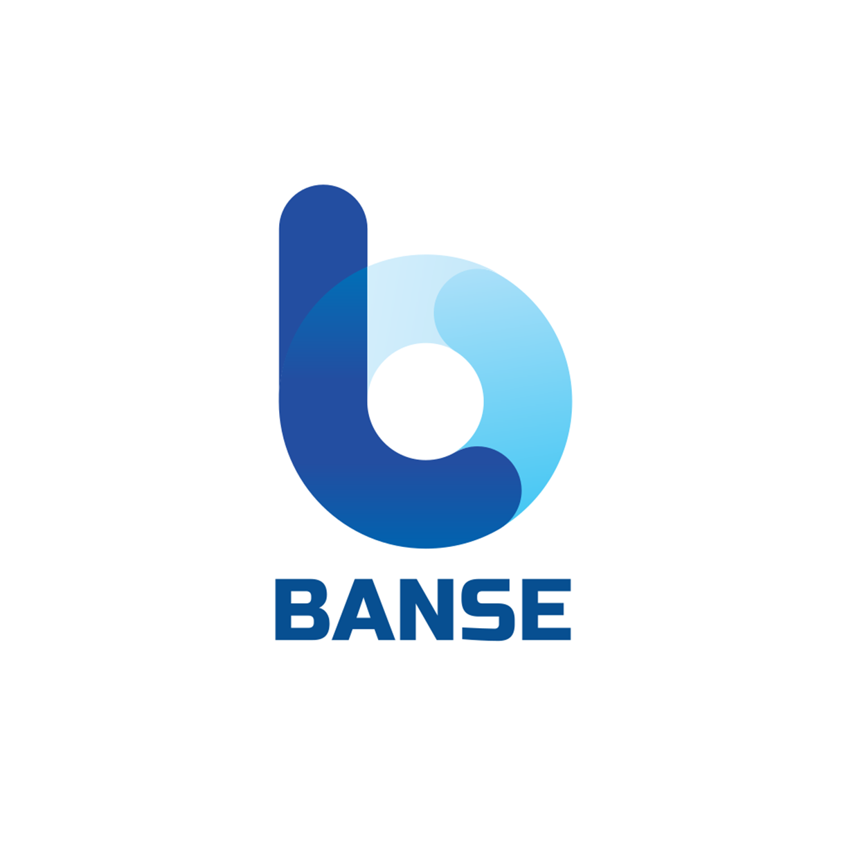 Banse LLC