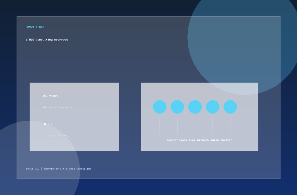 BANSE consulting approach visual