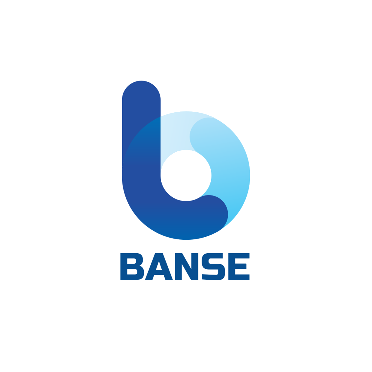 BANSE LLC